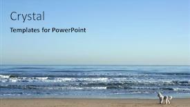  Presentation with poodle - Presentation theme with big white poodle in a huge beach landscape mediterranean sea background and a light blue colored foreground