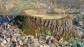  Presentation with rustic wood wooden frame - Slides featuring big-wooden-stub-on-meadow background and a  colored foreground