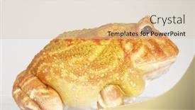  Presentation with frog - Slide deck with croak - big yellow frog background and a lemonade colored foreground