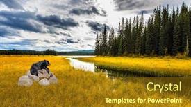  Presentation with black bear - Slide set with bighorn-highway-in-the-canadian background and a tawny brown colored foreground