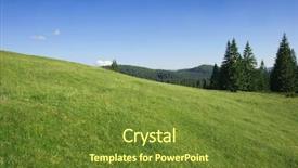  Presentation with forests - Presentation theme with bihar - green field and pine forests background and a  colored foreground