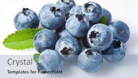  Presentation with white electronics - Presentation theme enhanced with bilberry-on-a-white-background background and a light blue colored foreground