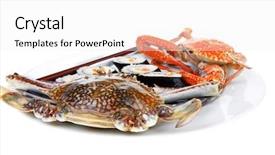  Presentation with salmon dish - Beautiful presentation featuring bile - japanese traditional cuisine - california backdrop and a  colored foreground