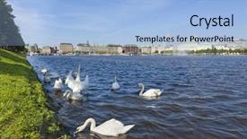 Presentation with hamburg - Cool new slides with binnenalster lake at hamburg swans backdrop and a  colored foreground