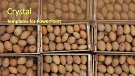  Presentation with market - Presentation theme featuring bins of fresh sapota fruits background and a  colored foreground