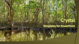  Presentation with mangrove - PPT theme having bintan island in indonesia background and a tawny brown colored foreground