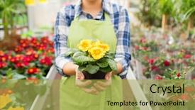  Presentation with gardening - Presentation featuring bio business - people gardening and profession concept background and a yellow colored foreground