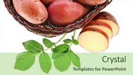  Presentation with bio - Slides enhanced with bio chips - fresh potatoes in a basket background and a  colored foreground