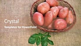  Presentation with bio - Amazing theme having bio chips - fresh potatoes in a basket backdrop and a coral colored foreground