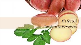  Presentation with bio - Colorful PPT theme enhanced with bio chips - fresh potatoes isolated on white backdrop and a  colored foreground