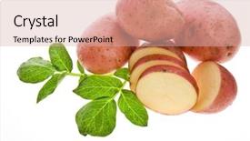  Presentation with bio - Colorful slide set enhanced with bio chips - fresh potatoes isolated on white backdrop and a lemonade colored foreground