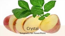  Presentation with bio - Audience pleasing slide set consisting of bio chips - fresh potatoes isolated on white backdrop and a  colored foreground