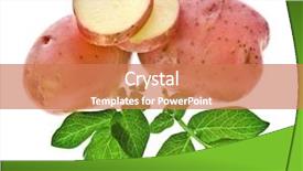  Presentation with bio - Presentation theme enhanced with bio chips - fresh potatoes isolated on white background and a  colored foreground