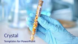  Presentation with sample - Beautiful PPT layouts featuring bio data - hand in glove holding groat backdrop and a light blue colored foreground