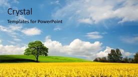  Presentation with farmland - Beautiful presentation theme featuring bio diesel - farmland backdrop and a light blue colored foreground