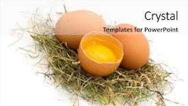  Presentation with bio - Colorful slide set enhanced with bio eggs on white background backdrop and a sky blue colored foreground
