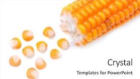 Presentation with bio - PPT layouts having bio farma - corn on a white background background and a white colored foreground