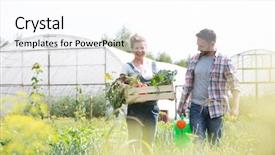  Presentation with organic - Audience pleasing theme consisting of bio farma - farmer holding organic produce backdrop and a white colored foreground