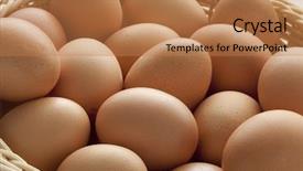  Presentation with chicken - Colorful PPT layouts enhanced with bio food - basket with fresh brown eggs backdrop and a  colored foreground