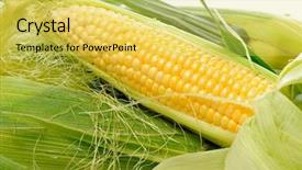  Presentation with green fresh food - Audience pleasing theme consisting of bio food - fresh corn vegetable with green backdrop and a yellow colored foreground