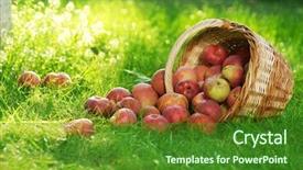  Presentation with organic - Audience pleasing slide set consisting of bio food - organic apples in the basket backdrop and a forest green colored foreground