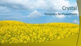  Presentation with rapeseed oil - Colorful PPT layouts enhanced with closeup of stethoscope on ecg diagram background backdrop and a light gray colored foreground