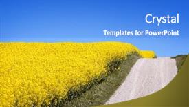  Presentation with seed oil - Amazing presentation theme having bio fuels - yellow field with oil seed backdrop and a cobalt blue colored foreground