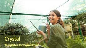  Presentation with greenhouse - Slides consisting of bio inspired - attractive beautiful woman gardener holding background and a  colored foreground