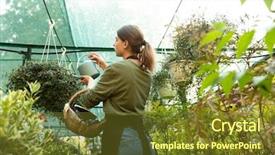 Presentation with water irrigation greenhouse - Beautiful presentation theme featuring bio inspired - attractive beautiful woman gardener holding backdrop and a  colored foreground