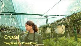  Presentation with cute - Cool new presentation design with bio inspired - attractive cute woman gardener touching backdrop and a tawny brown colored foreground