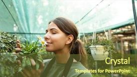  Presentation with cute japan cartoon - Colorful slides enhanced with bio inspired - photo of attractive cute woman backdrop and a tawny brown colored foreground