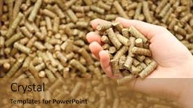  Presentation with mass - PPT theme with bio mass - human hand holding solid wooden background and a red colored foreground