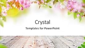  Presentation with bio - Audience pleasing theme consisting of bio material - nature background with wooden table backdrop and a white colored foreground