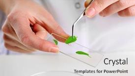  Presentation with laboratory - Slide deck enhanced with bio medical - woman examining green plant background and a light gray colored foreground