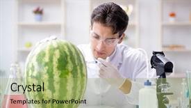  Presentation with animal testing scientist doing experiment - Colorful presentation theme enhanced with bio pesticid - scientist testing watermelon in lab backdrop and a mint green colored foreground