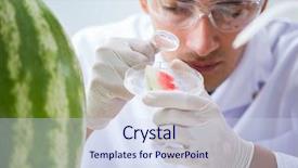  Presentation with animal testing scientist doing experiment - Beautiful PPT theme featuring bio pesticid - scientist testing watermelon in lab backdrop and a sky blue colored foreground