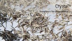  Presentation with agriculture industry - Colorful presentation enhanced with bio techniques - agriculture manufacture industry and farming backdrop and a light gray colored foreground