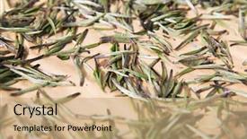  Presentation with agriculture industry - Slides enhanced with bio techniques - agriculture manufacture industry and farming background and a coral colored foreground