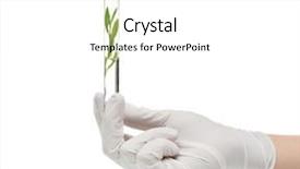  Presentation with biochemistry - Cool new theme with biochemistry plants - female hand in glove holding backdrop and a white colored foreground