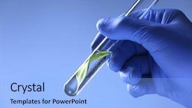 Presentation with biochemistry - Amazing slides having biochemistry plants - hand in glove holding test backdrop and a light blue colored foreground