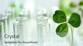  Presentation with biochemistry - Theme enhanced with biochemistry plants - plant in test tube closeup background and a sky blue colored foreground