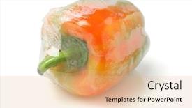  Presentation with film - Theme consisting of biodegradeable plastic - fresh pepper wrapped in cellophane background and a coral colored foreground