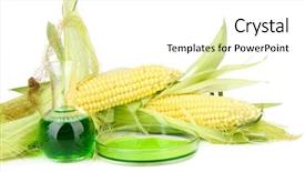  Presentation with corn plant - Presentation design featuring biodiesel plant - conceptual photo of bio fuel background and a white colored foreground