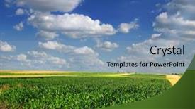  Presentation with corn field - Slide deck enhanced with biodiesel plant - corn field background and a light blue colored foreground