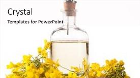  Presentation with oil rig in white and black - Beautiful slide deck featuring biodiesel plant - isolated rape oil with blossoms backdrop and a  colored foreground