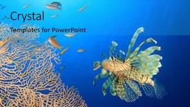  Presentation with reef tank marine aquarium blue - Amazing slide deck having biodiversidad - lionfish pterois volitans hunts anthias backdrop and a cyan colored foreground