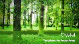  Presentation with forest patches in africa - Audience pleasing slides consisting of biodiversidad - mistical forest backdrop and a shamrock green colored foreground