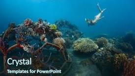  Presentation with restoration - Presentation theme consisting of the reef restoration are background and a tawny brown colored foreground