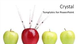  Presentation with health apples and education - Presentation theme with beautiful couple woman and man in medieval clothes in the room background and a light gray colored foreground