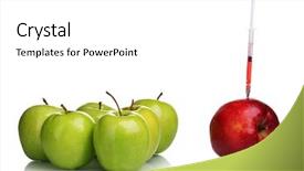 Presentation with bioengineering - Colorful slide set enhanced with bioengineering - red and green apples backdrop and a white colored foreground